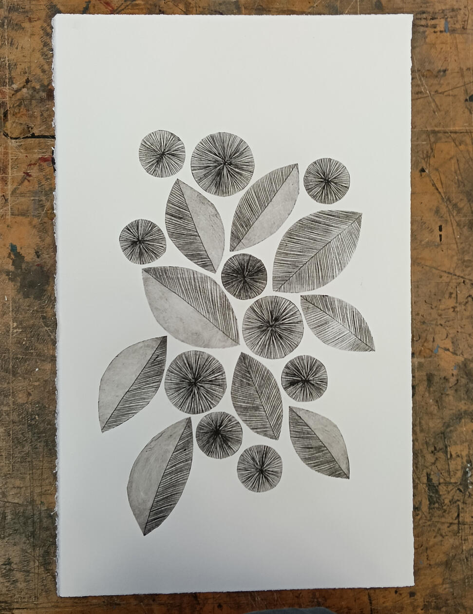 Leaf and Line (drypoint) - SOLD