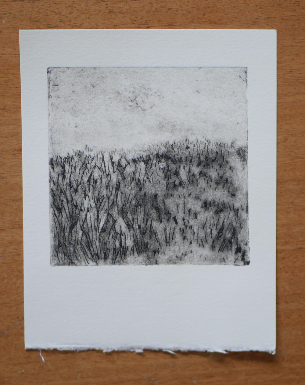 Grasses (collagraph)